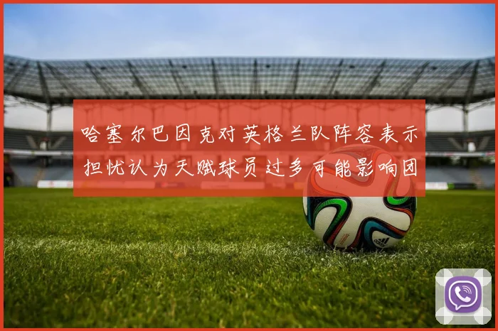 哈塞尔巴因克对英格兰队阵容表示担忧认为天赋球员过多可能影响团队合作