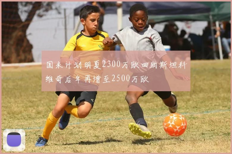 国米计划明夏2300万欧回购斯坦科维奇后年再增至2500万欧