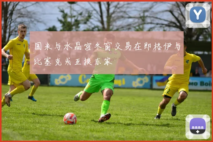 国米与水晶宫冬窗交易在即格伊与比塞克或互换东家